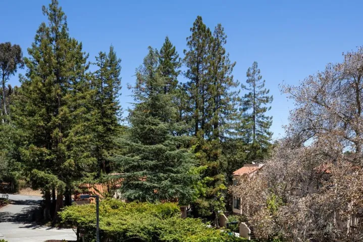 2379 Lyall Way, Belmont, California 94002