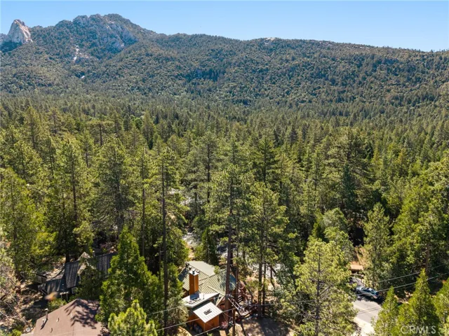 54720 Pine Crest, Idyllwild, California 92549