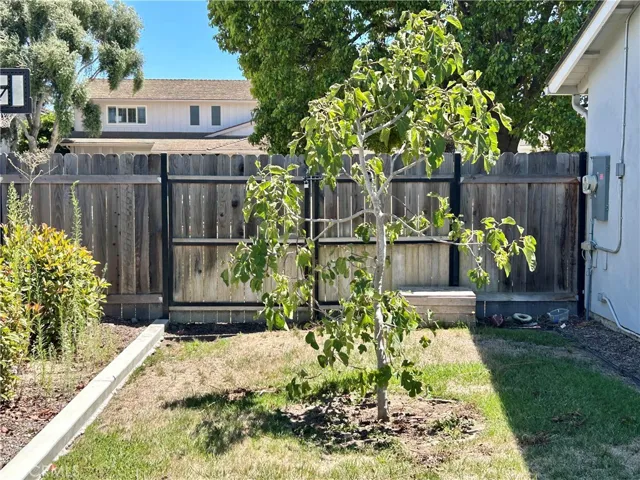 Side Yard