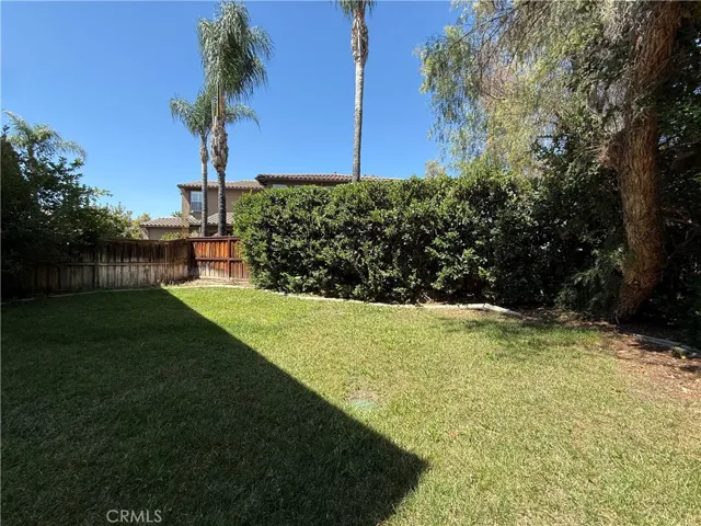 Grass side yard