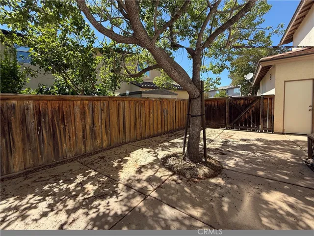Hardscaped side yard