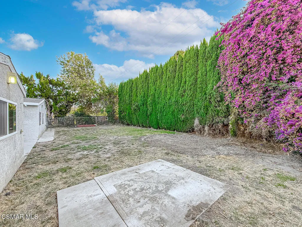 lBackyard8