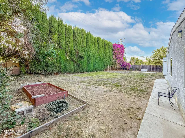 lBackyard3