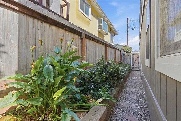 Side yard East