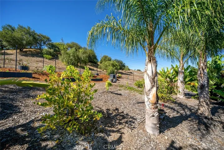 850 Bassi Dr., San Luis Obispo, California 93405