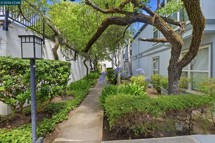 2087 Ascot Dr 124, Moraga, California 94556
