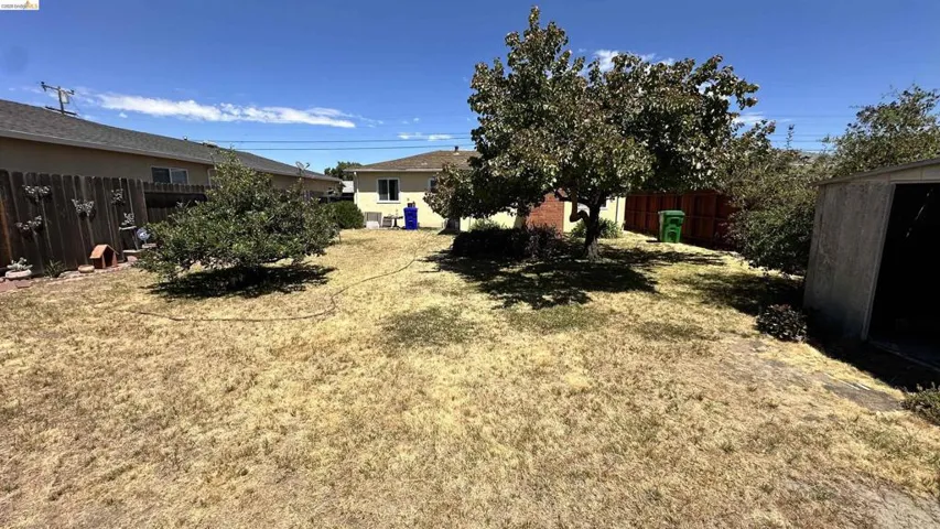 Expansive backyard featuring mature trees, a wooden fence, and a storage shed