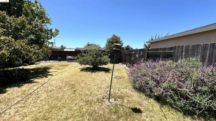 Expansive backyard featuring a mature tree, perimeter fencing, and established shrubbery