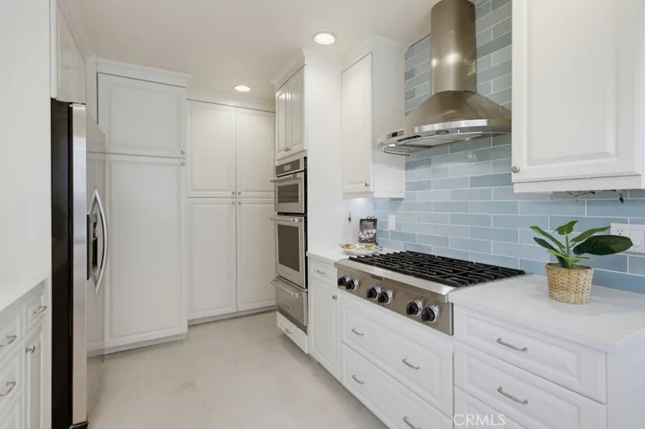 6 burner range with accompanying hood