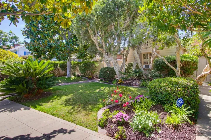 Beautiful, lush front yard