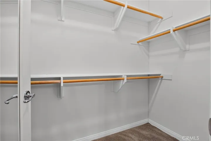 Primary Closet