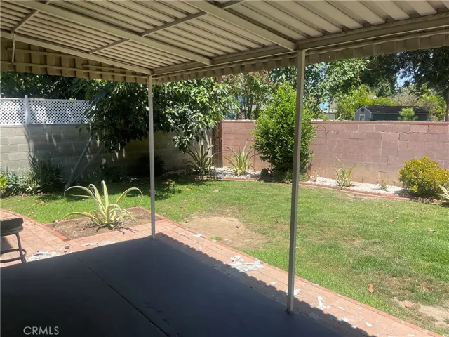 Large Back Yard