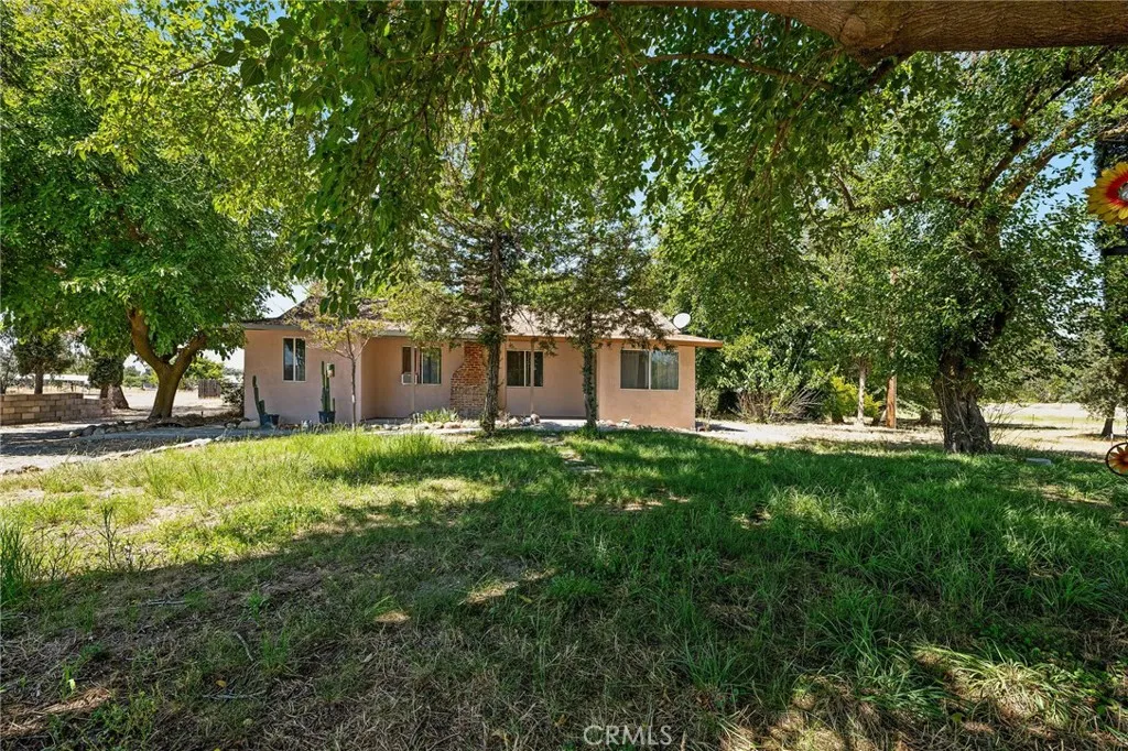 Treed Front Yard