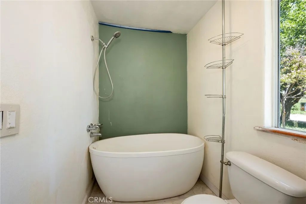 Free standing tub w/Shower
