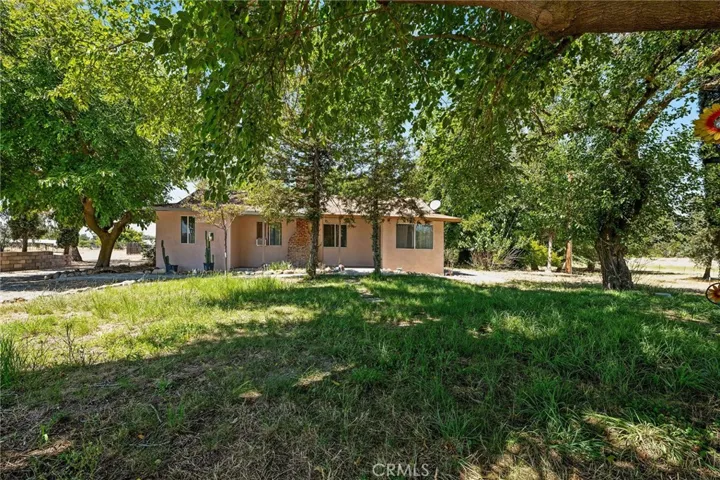 Treed Front Yard