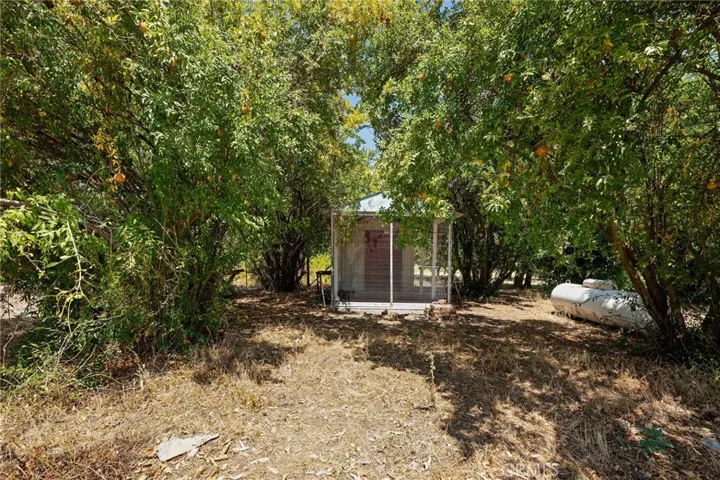 Chicken coop or dog pen