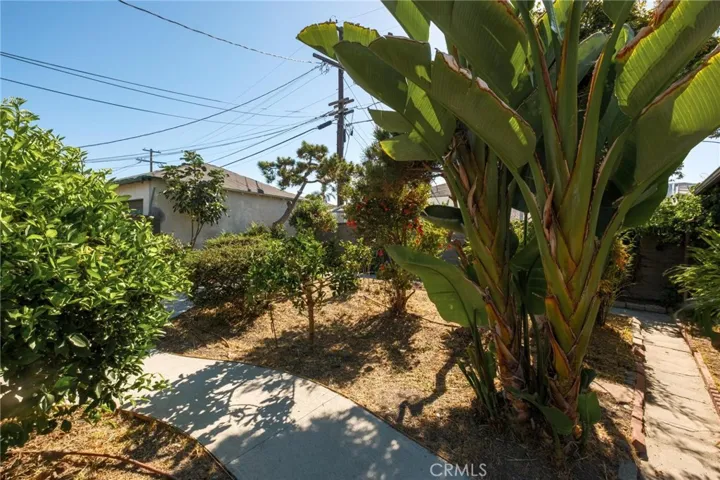 3411 S Cloverdale Avenue, Los Angeles, California 90016