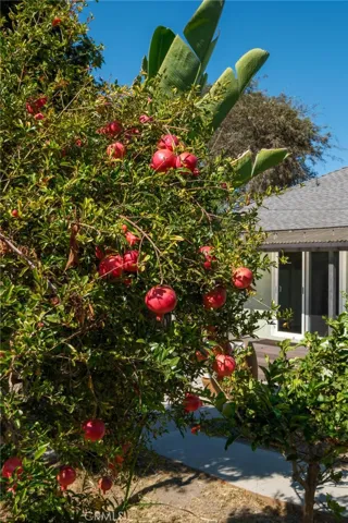 3411 S Cloverdale Avenue, Los Angeles, California 90016