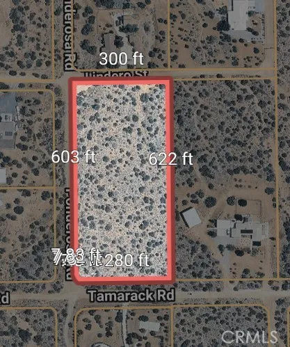 12 Tamarack, Pinon Hills, California 92372 — photo 4