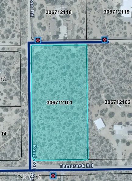 12 Tamarack, Pinon Hills, California 92372 — photo 5