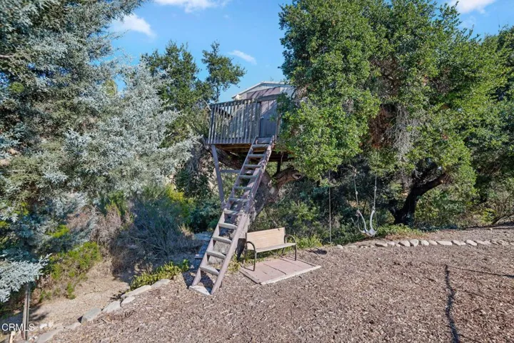 47-Tree House