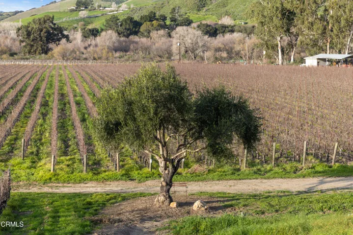 6855 Santa Rosa Web-24