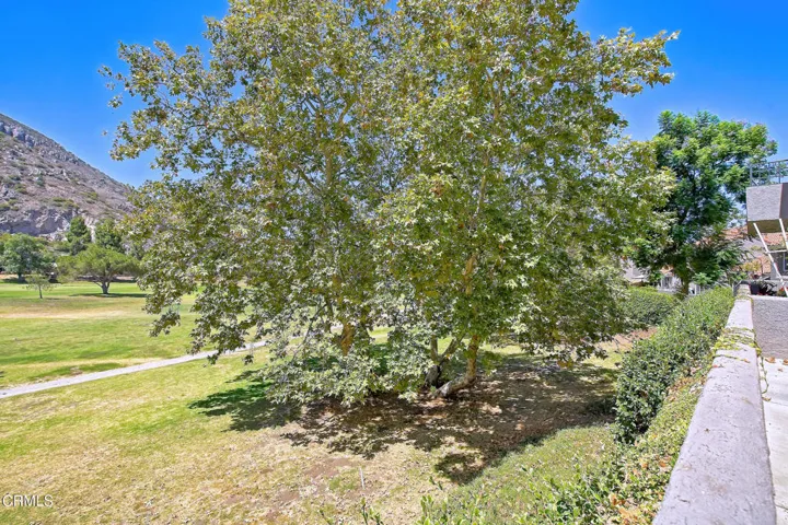 6216 Paseo Encantada Cam MLS_Dewing (11)
