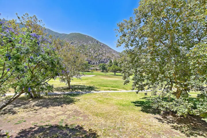 6216 Paseo Encantada Cam MLS_Dewing (10)