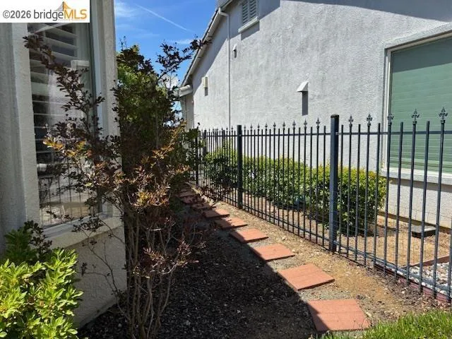 Side Yard