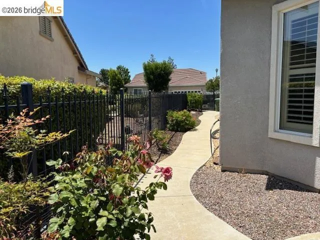 Side Yard