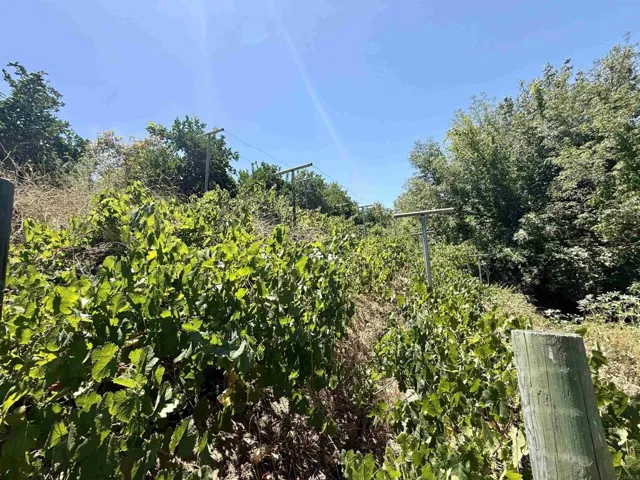 764 Old Highway 395, Fallbrook, California 92028