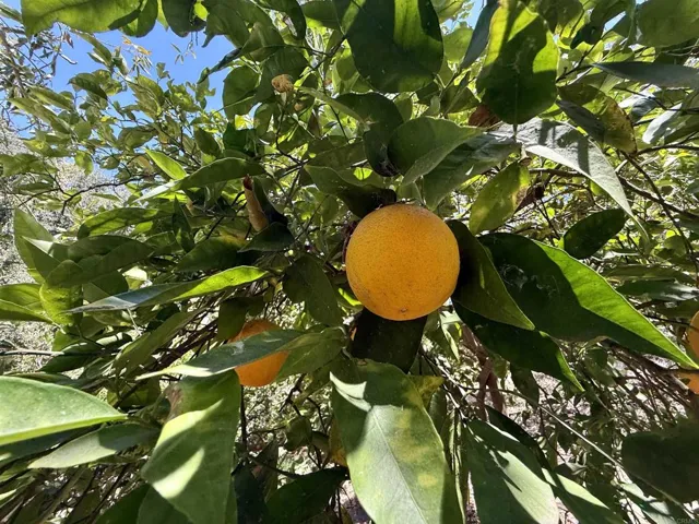764 Old Highway 395, Fallbrook, California 92028
