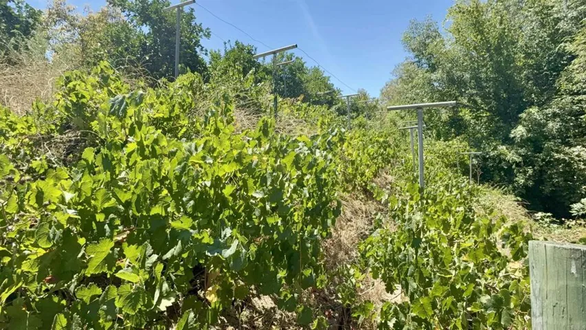 764 Old Highway 395, Fallbrook, California 92028