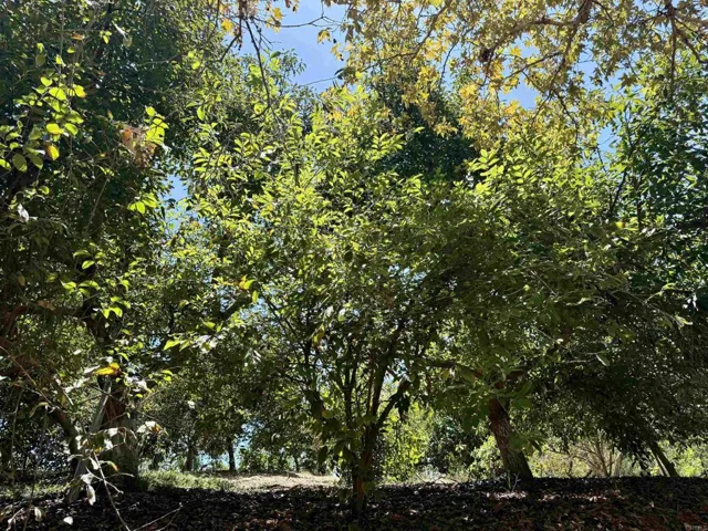 764 Old Highway 395, Fallbrook, California 92028