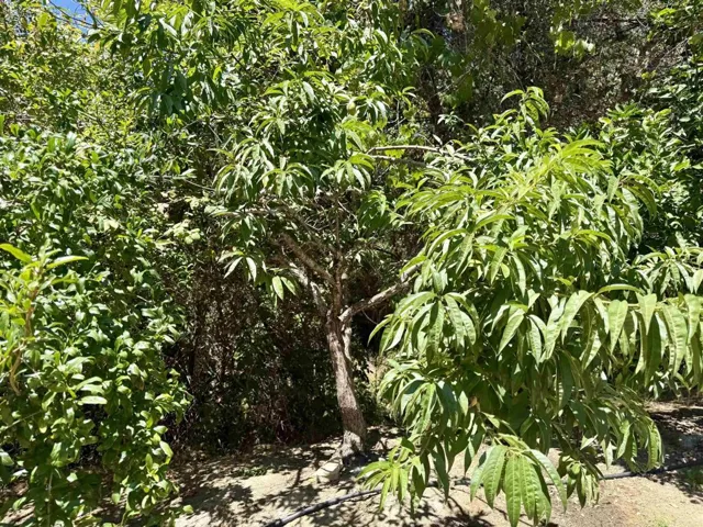 764 Old Highway 395, Fallbrook, California 92028
