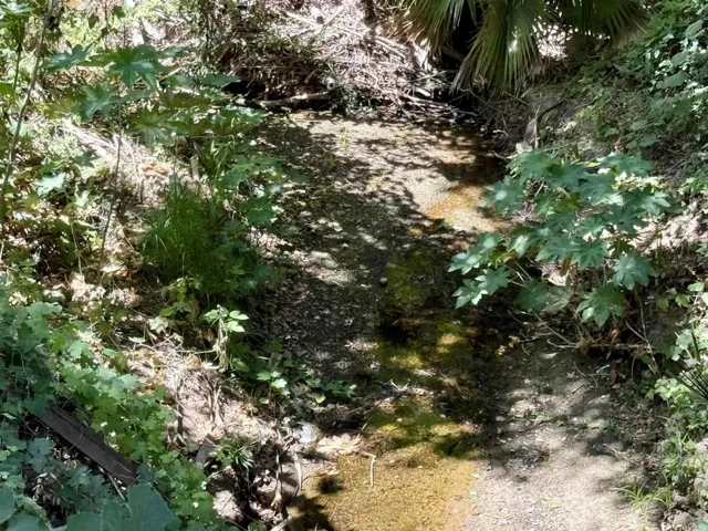 764 Old Highway 395, Fallbrook, California 92028