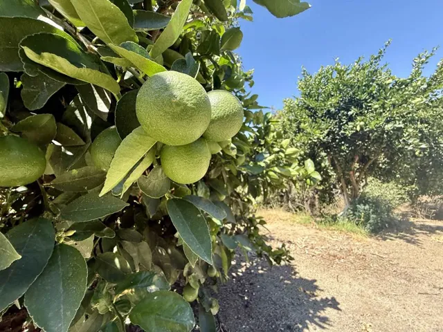 764 Old Highway 395, Fallbrook, California 92028