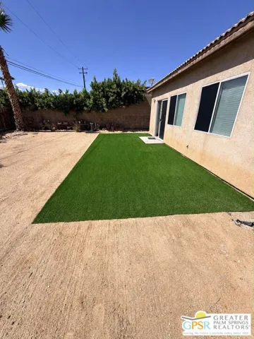 Back Yard