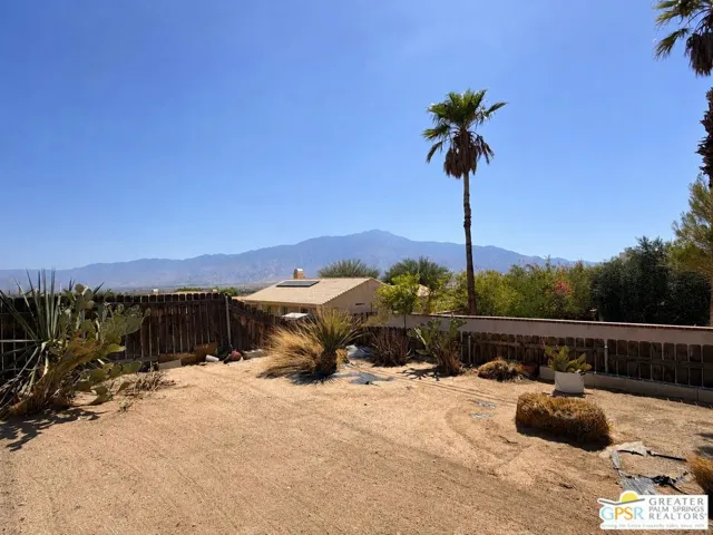 Back Yard