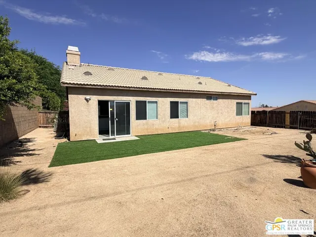 Turf Grass