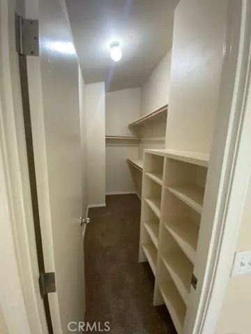 Primary bedroom closet