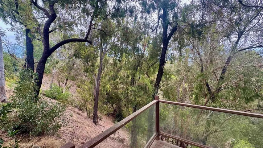 8223 Caminito Locayo, La Jolla, California 92037