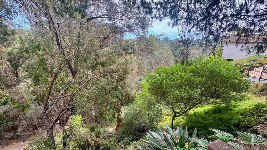 8223 Caminito Locayo, La Jolla, California 92037
