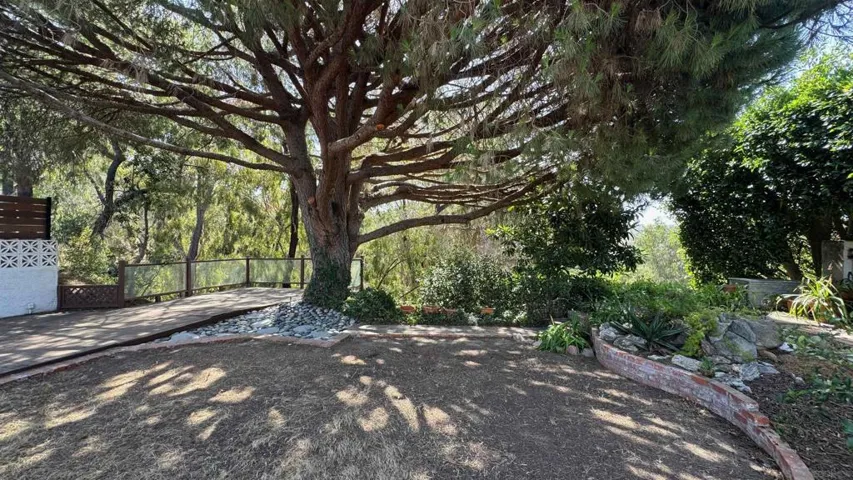 8223 Caminito Locayo, La Jolla, California 92037