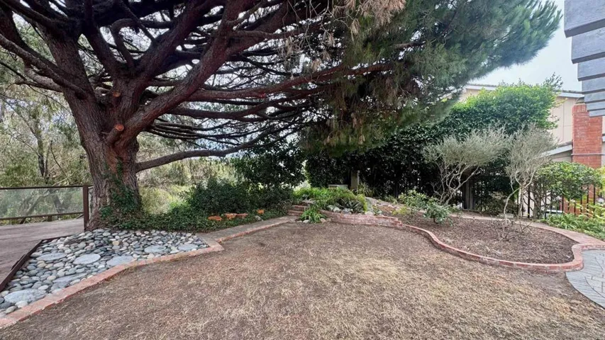 8223 Caminito Locayo, La Jolla, California 92037