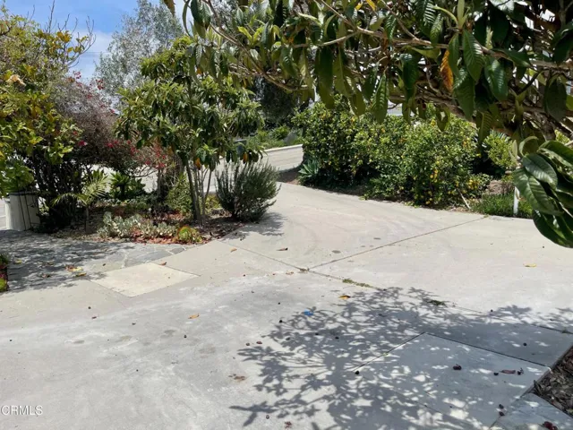 1148 colina vis