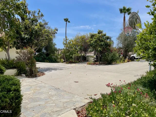 1148 colina vis