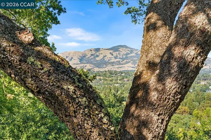 300 Oak View Ter, Danville, California 94526
