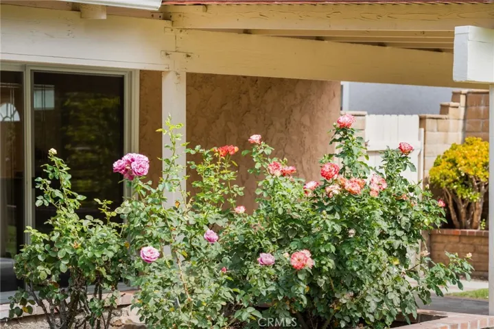 24382 Macedo Drive, Mission Viejo, California 92691