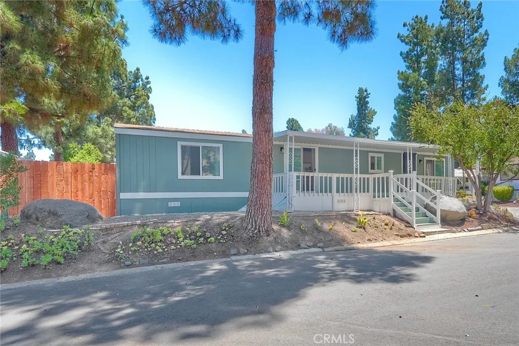 Nestled among the trees.
